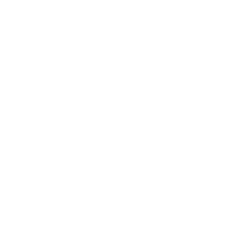 Treasure Global Inc. Share Price